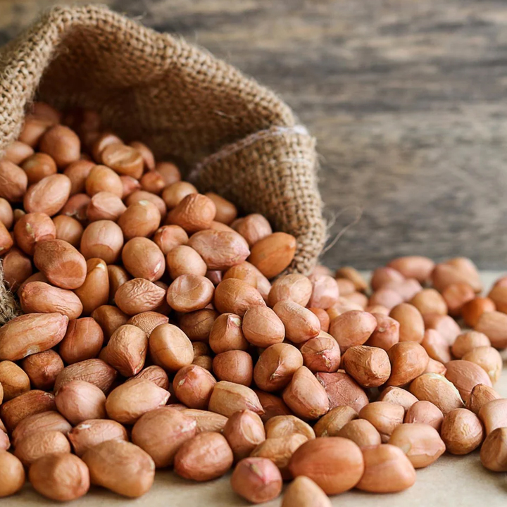 ground-nut-seed