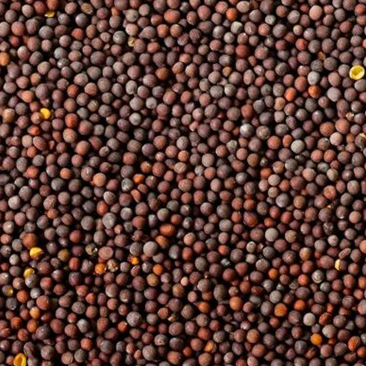 mustard-seed